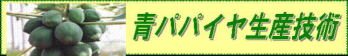 �p�p�C�����Y�Z�p